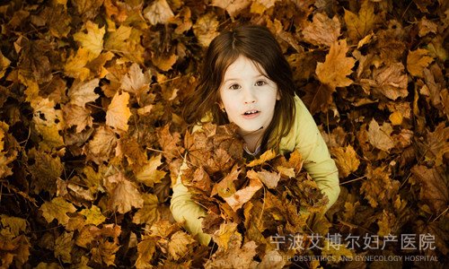 ӻ